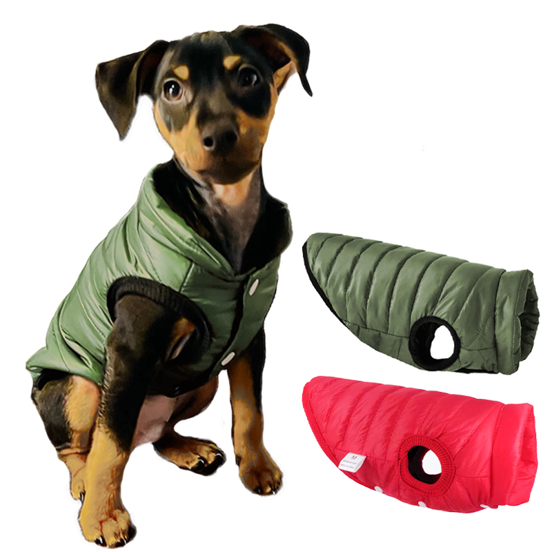 Winter Clothing In French - Warme hondenvestjas herfst winter hondenkleding Franse