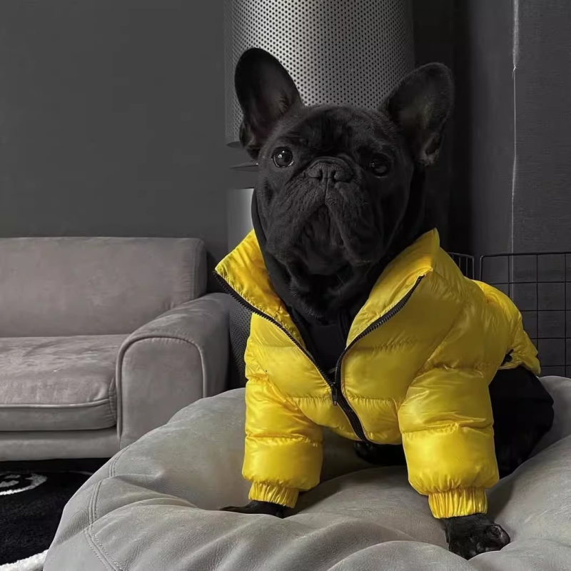 Winter Clothing In French - Mopshondjasje Franse Bulldog Kleding Frenchies Hondenkleding