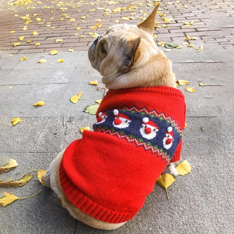 Kerst Hond Trui Winter Hondenk - Winter Clothing In French recensie en prijs