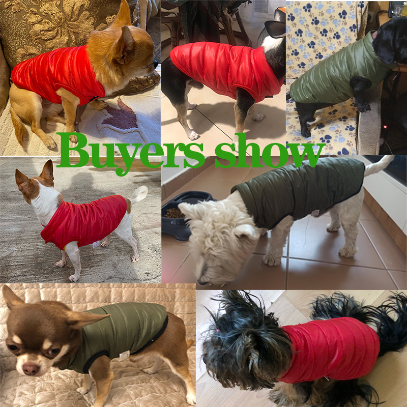 Warme hondenvestjas herfst win - Winter Clothing In French recensie en prijs