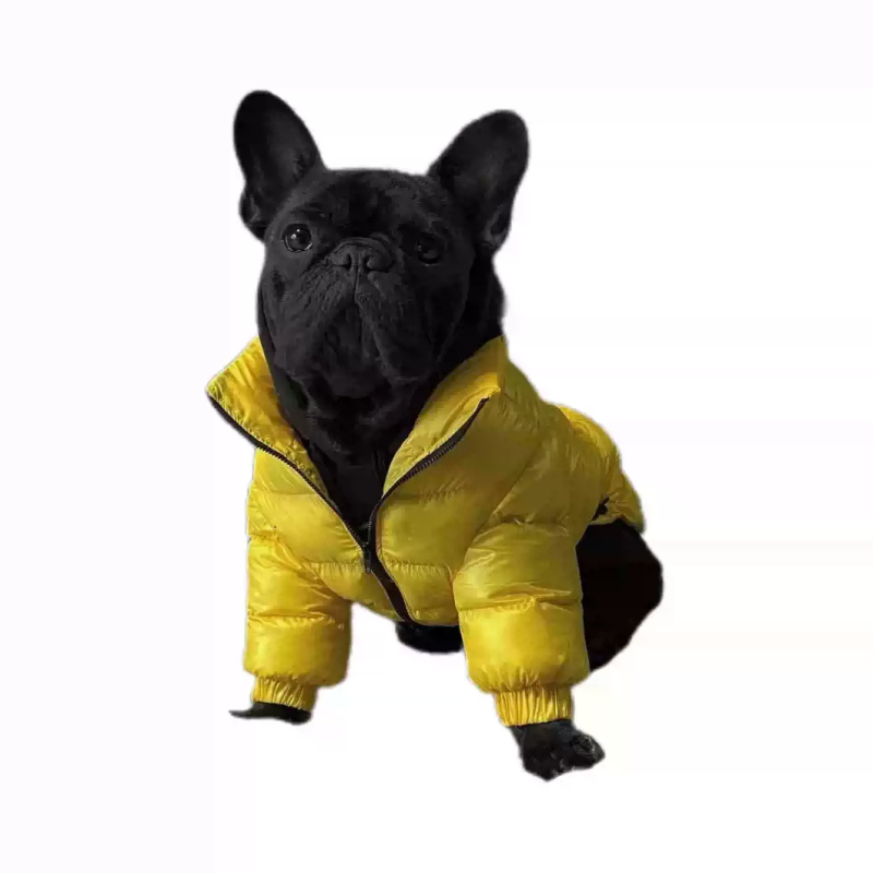 Mopshondjasje Franse Bulldog K - Winter Clothing In French recensie en prijs