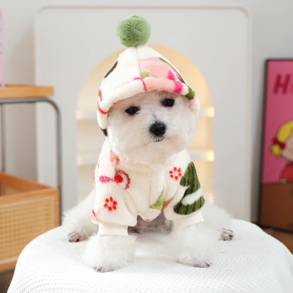 Puppykleding is verdikt en war - Winter Clothing Must Haves recensie en prijs