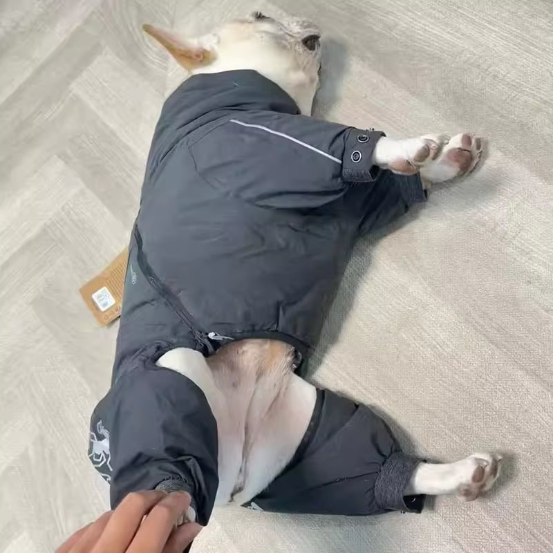 Franse Bulldog Kleding Jumpsui - Winter Clothing In French recensie en prijs