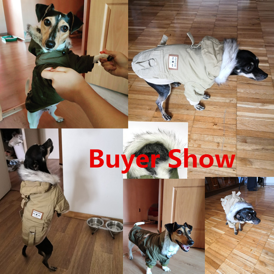 Meisjes peuter cartoon mode sw - Winter Clothing For Boys recensie en prijs