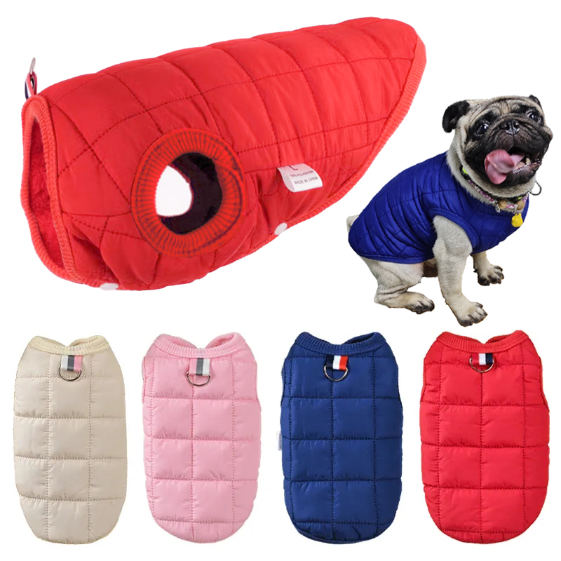 Winter katoenen jas voor huisd - Winter Clothing In French recensie en prijs