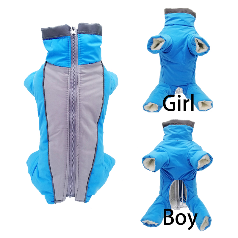 Winter Hondenkleding Super War - Winter Clothing In French recensie en prijs
