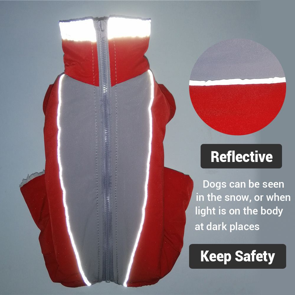 Winter Hondenkleding Super War - Winter Clothing In French recensie en prijs
