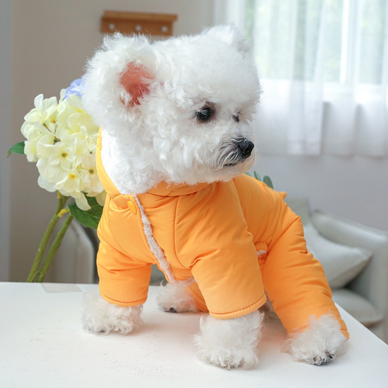 Dikke warme hond winterkleding - Winter Clothing In French recensie en prijs